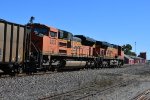 BNSF 9353 Roster shot